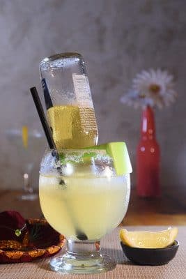 Mexican Bulldog